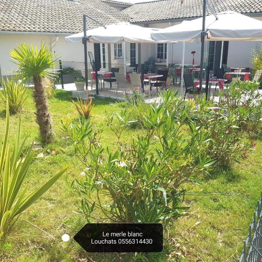 Hotel Le Merle Blanc Louchats Zewnętrze zdjęcie